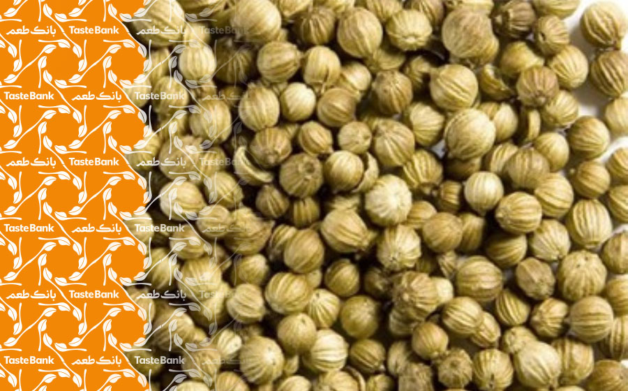 تخم گشنیز برای ادویه عروس