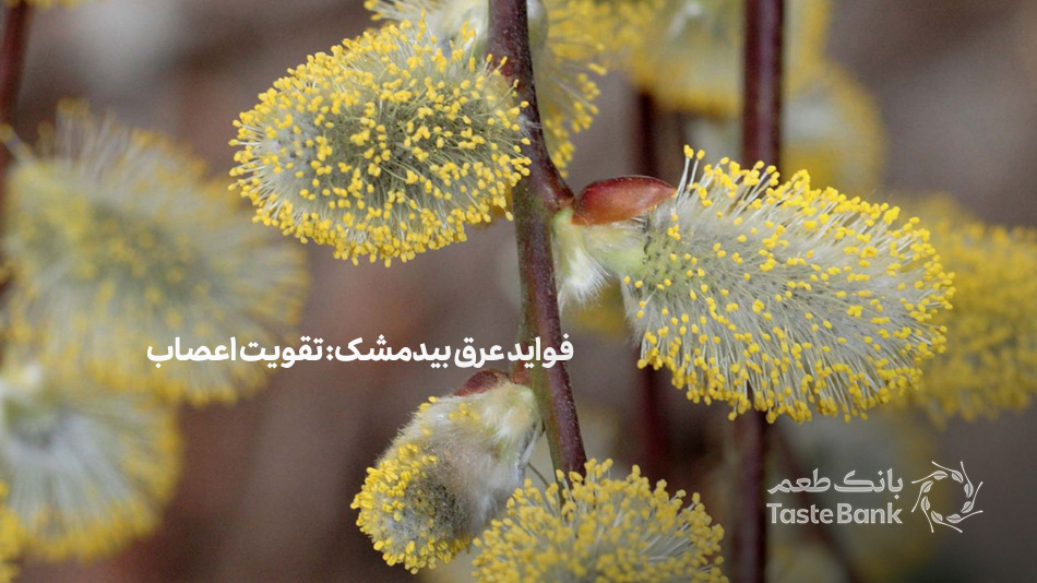 خواص عرق بیدمشک بانک طعم