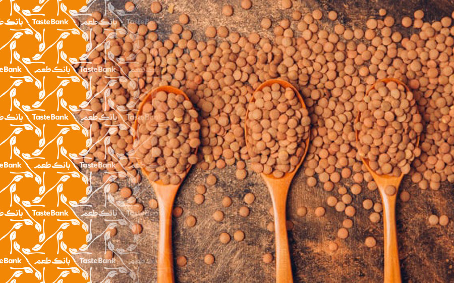 خواص عدس در بارداری زنان 