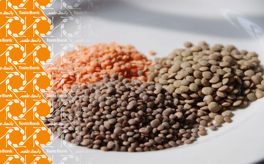 خواص عدس برای بدن