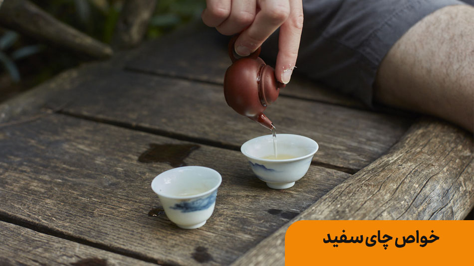 خواص چای سفید | بانک طعم