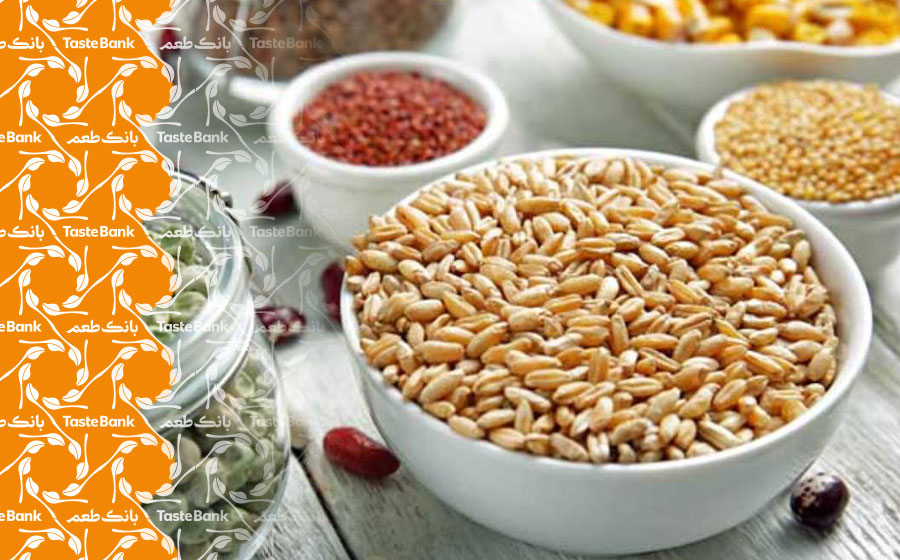 انواع آفت در حبوبات