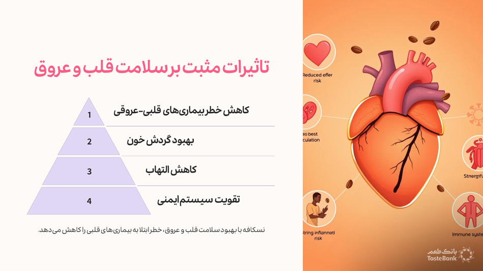 خواص نسکافه برای مردان | بانک طعم