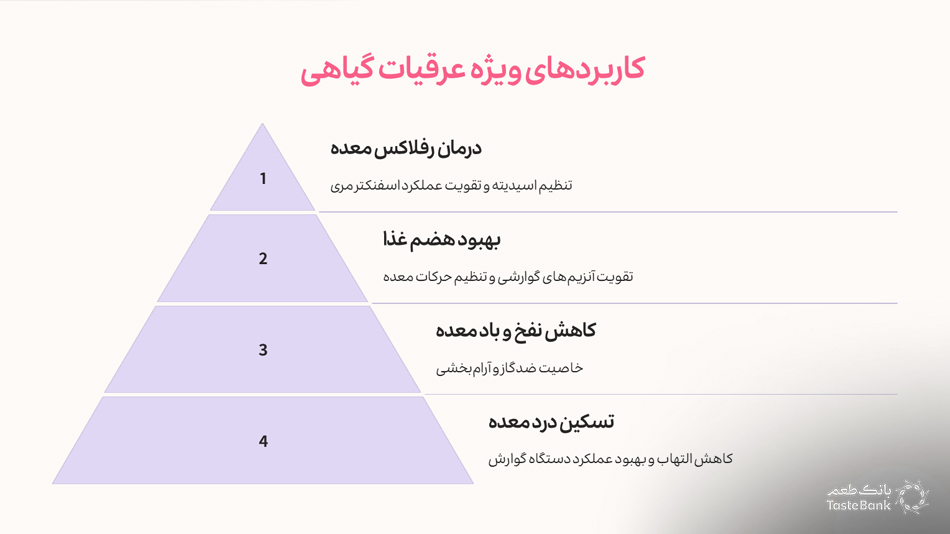 عرقیات گیاهی تقویت‌کننده معده | بانک طعم