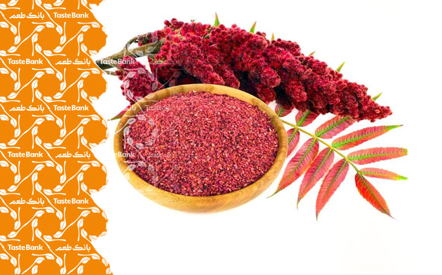 استفاده از سماق کوهی