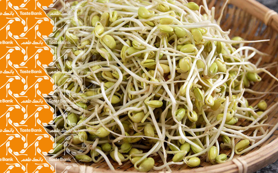 استفاده از جوانه حبوبات