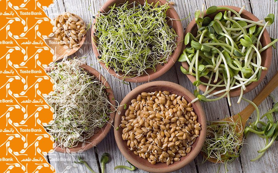 تاثیر جوانه حبوبات در سلامتی