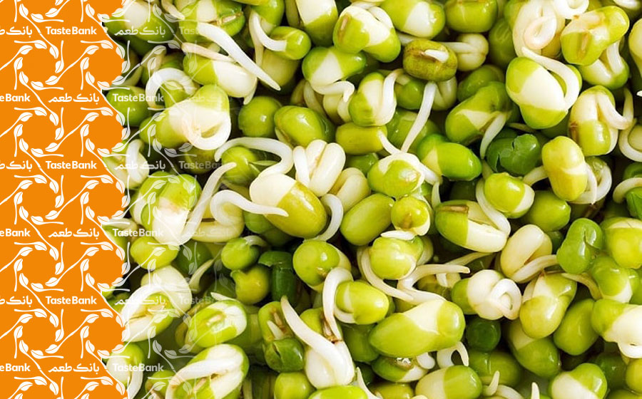 خواص و مضرات جوانه حبوبات