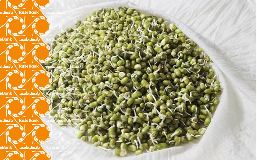 خواص جوانه حبوبات