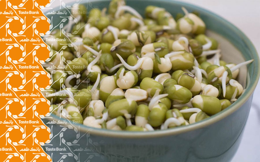 خرید جوانه حبوبات