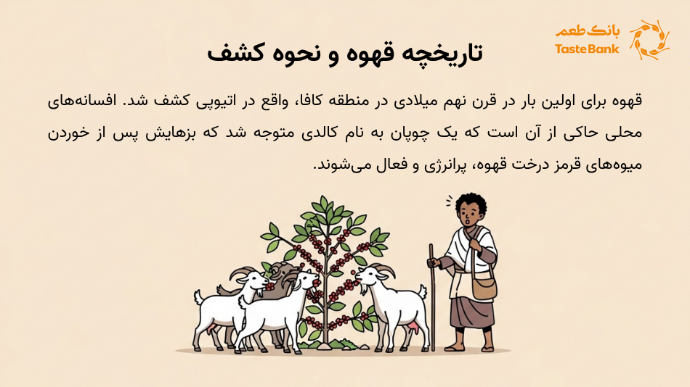 تاریخچه قهوه و نحوه کشف