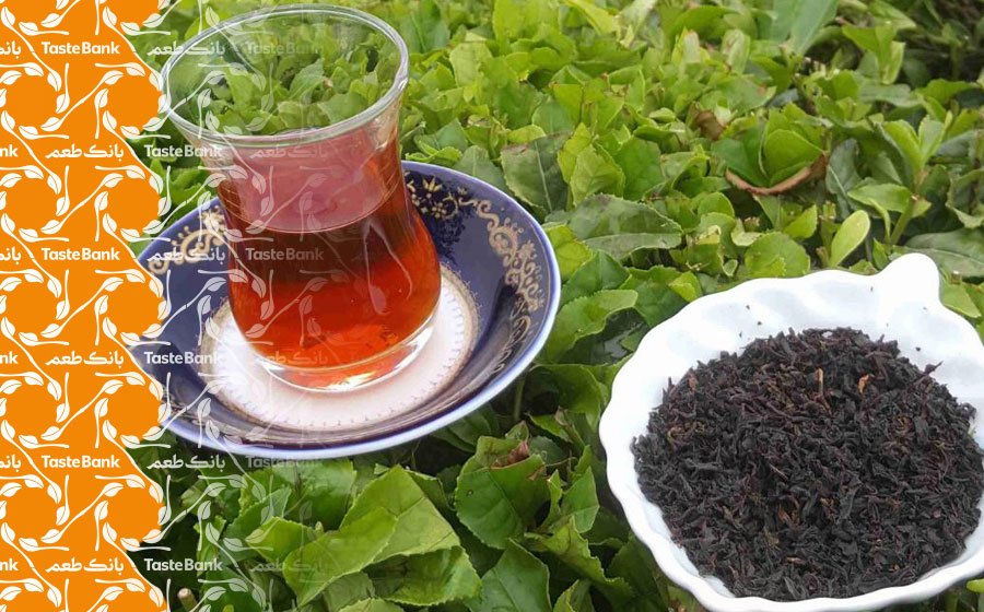 روش تشخیص چای اصل از تقلبی