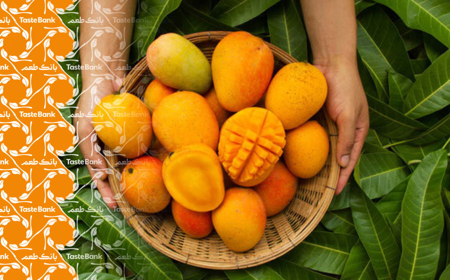 استفاده از برگ انبه