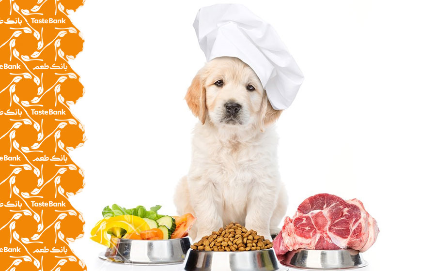 خرید حبوبات برای حیوانات