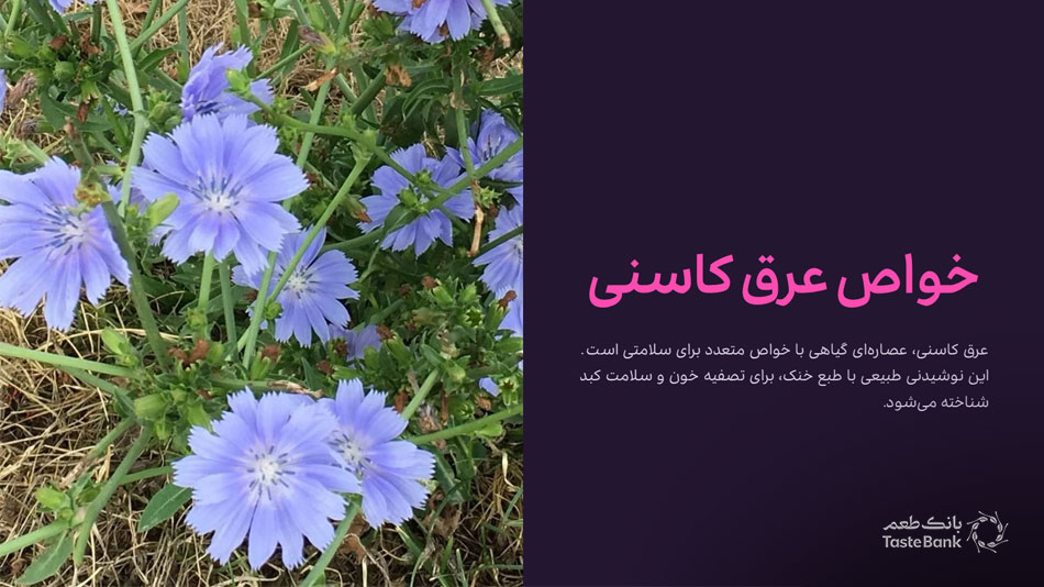 خواص عرق کاسنی | بانک طعم