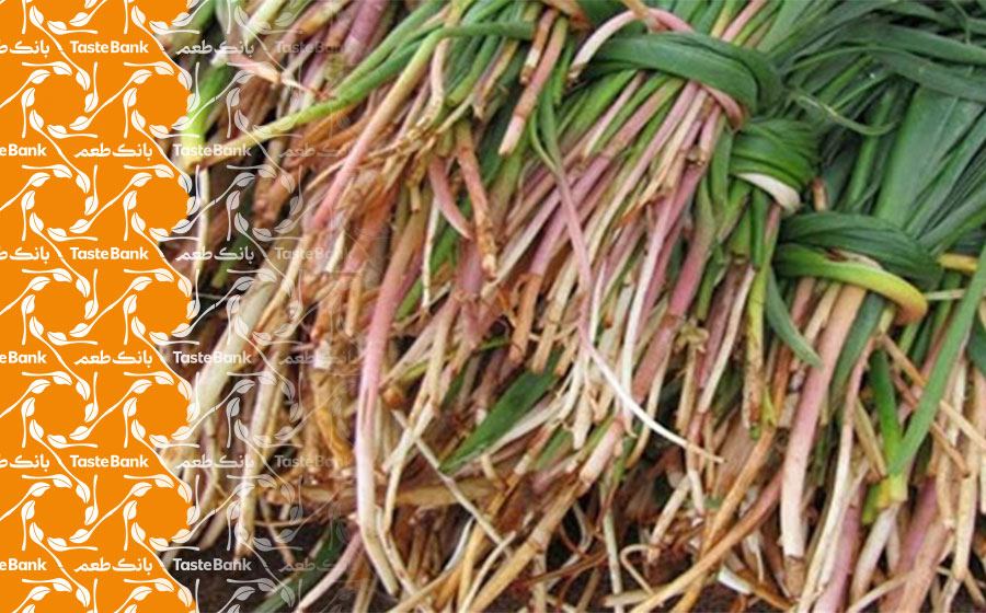 شنگ پلو و آش شنگ