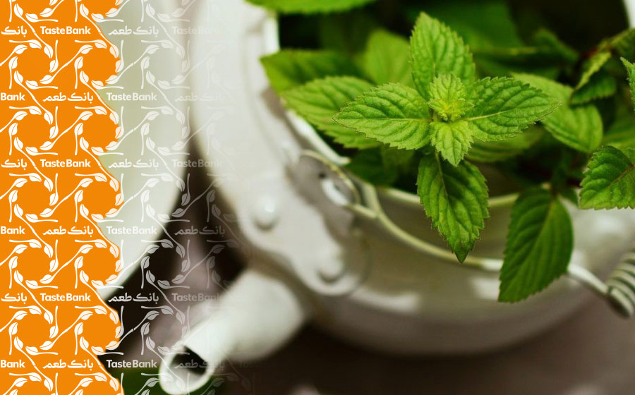 خواص عرق نعناع برای سلامتی