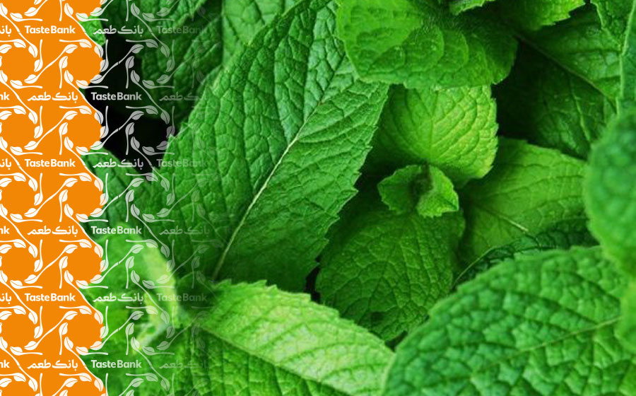 فواید عرق نعناع