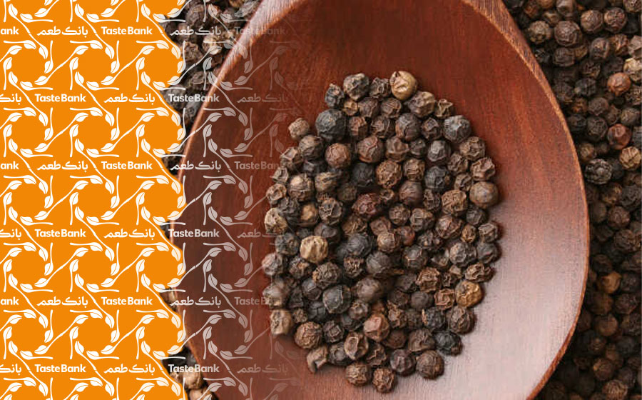 نکات و شرایط کاشت فلفل سیاه