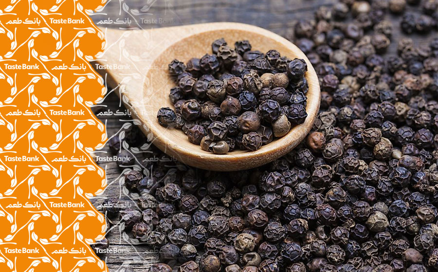 محیط مناسب برای کاشت فلفل سیاه