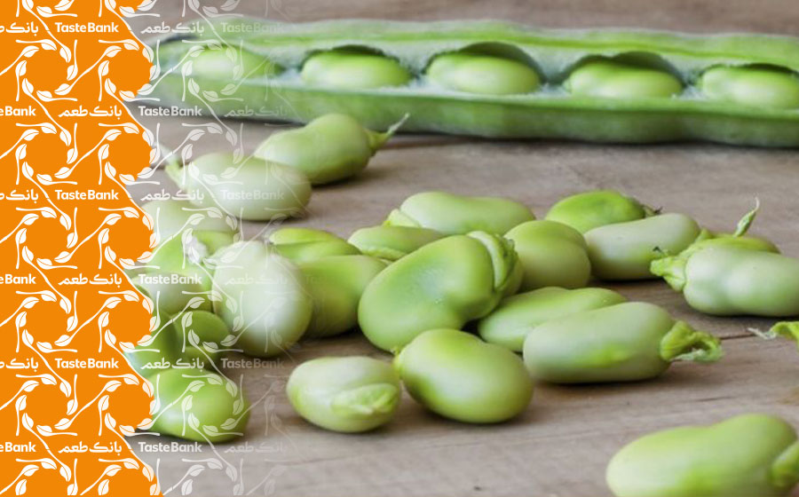 فواید و خواص مصر باقلا سبز