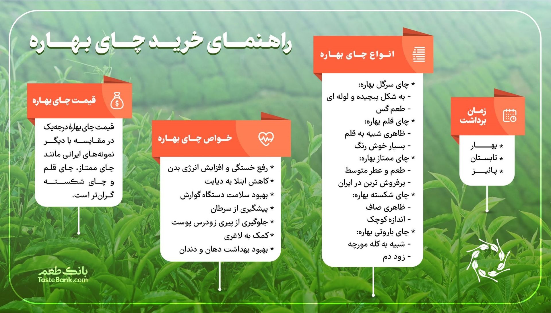 خواص چای بهاره