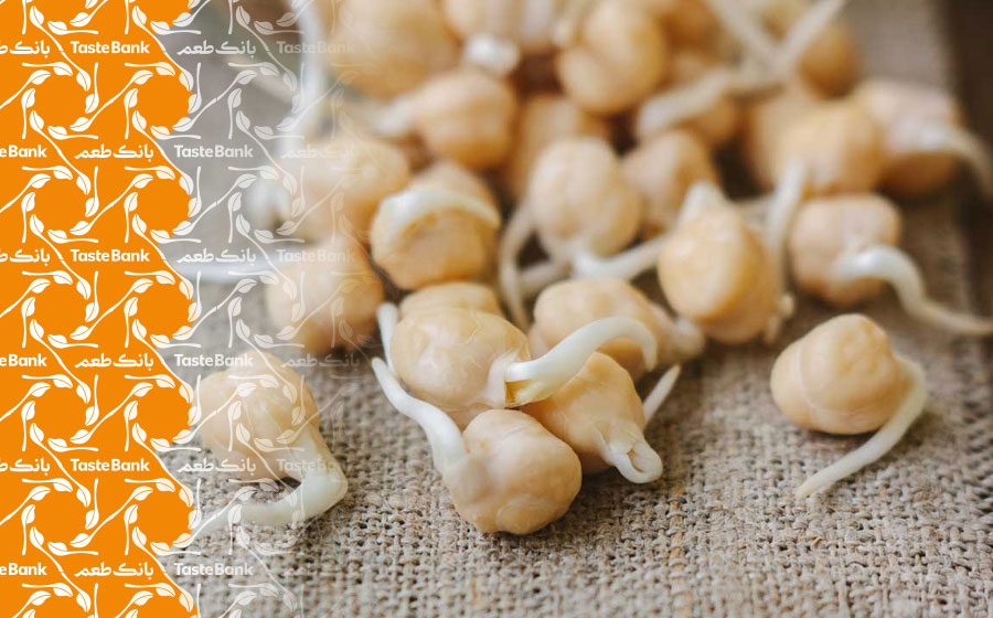 جوانی با جوانه حبوبات