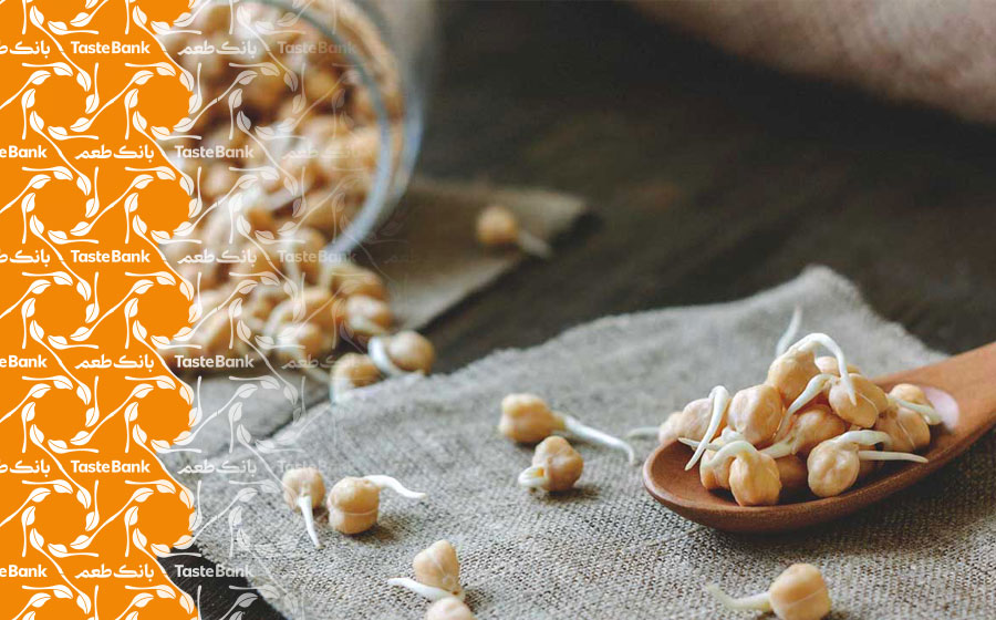 جوانی با جوانه حبوبات