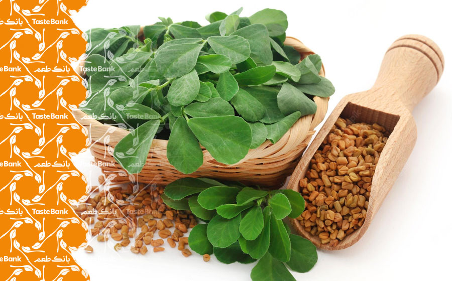 مصرف سبزی شنبلیله