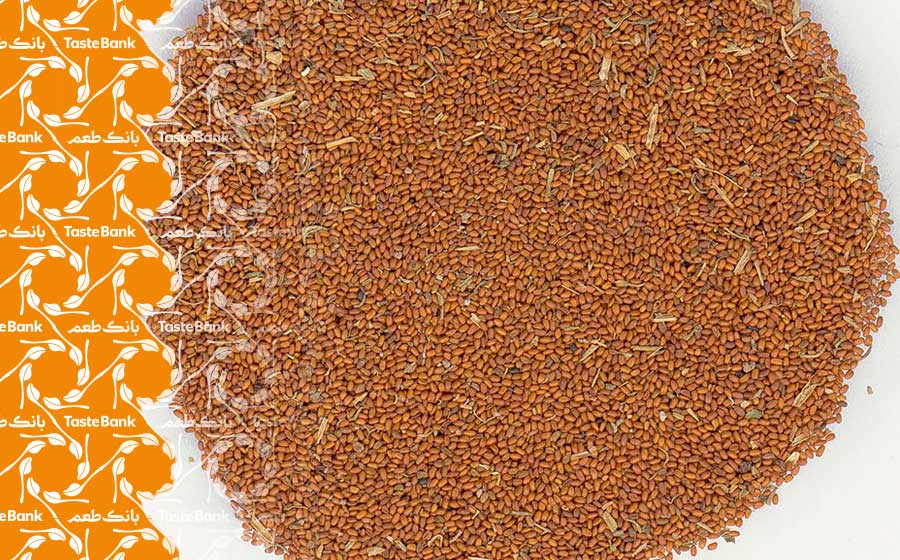 مضرات خاکشیر برای کبد