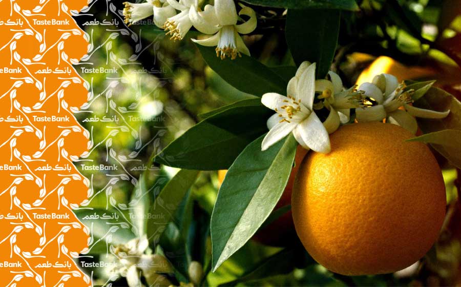 عوارض بهار نارنج