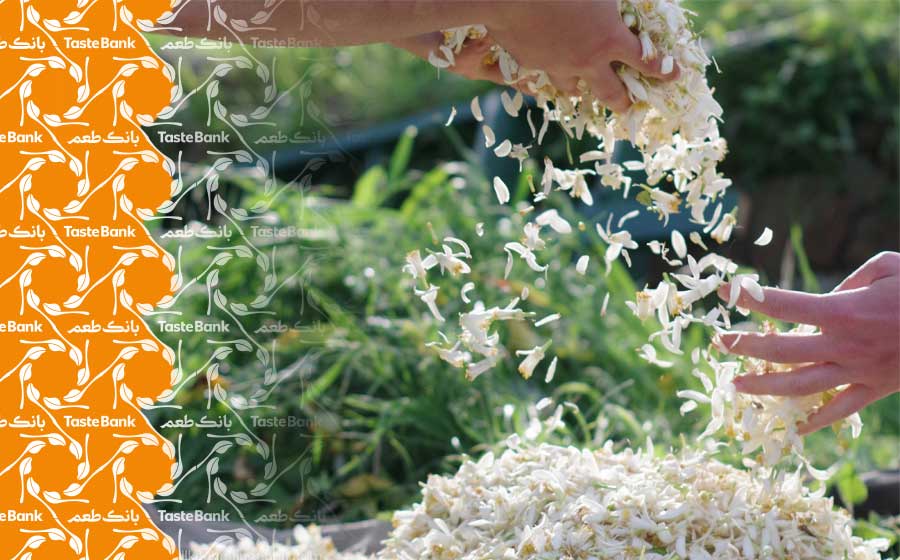 خواص بهار نارنج