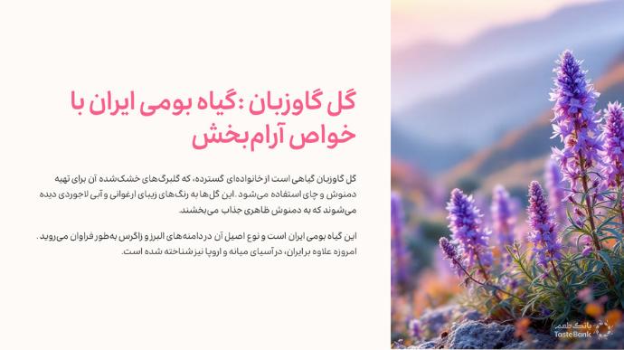 طرز تهیه دمنوش گل گاوزبان | بانک طعم