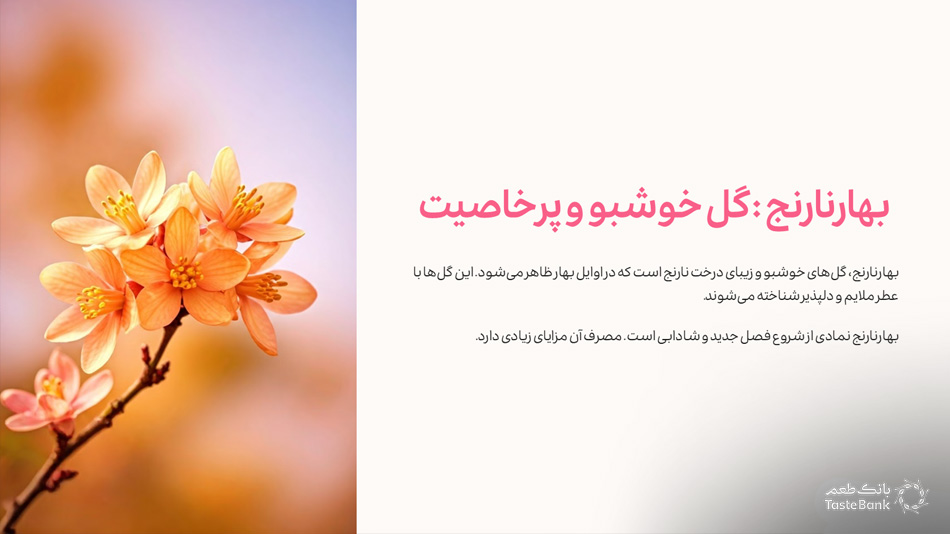 فروش آنلاین بهارنارنج | بانک طعم