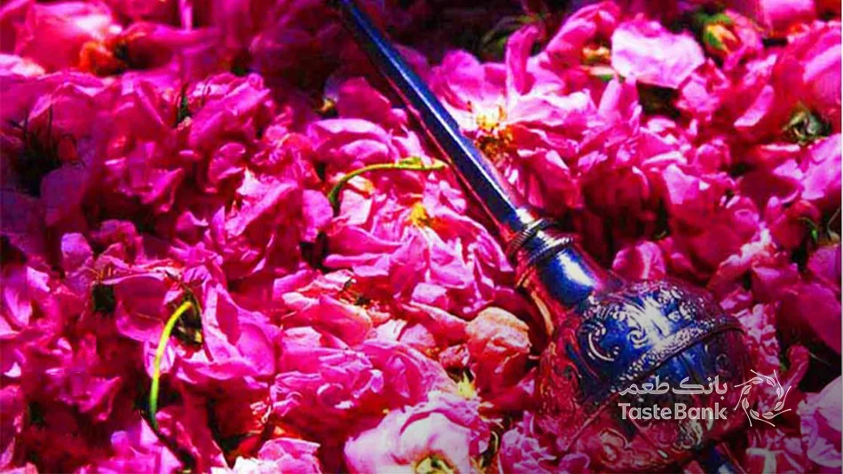 گلاب و گل محمدی