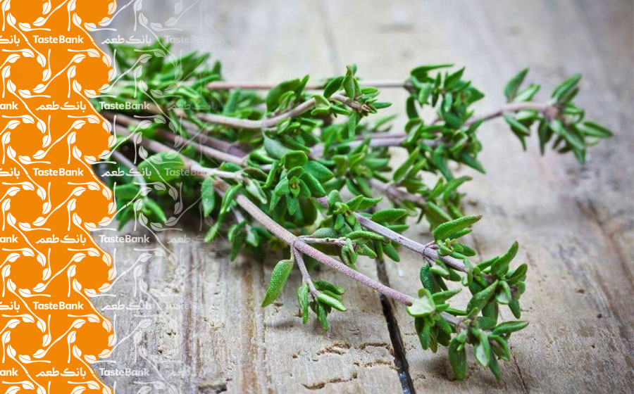 آویشن مناسب برای بارداری