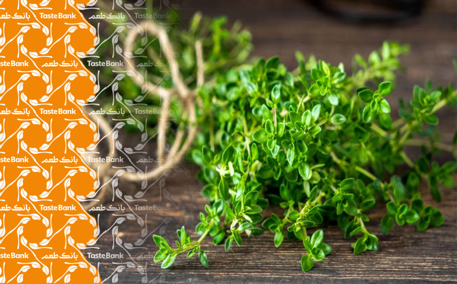 مصرف آویشن در دوره بارداری