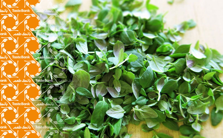 مصرف آویشن در بارداری