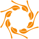 درک حسی یا آزمون چشایی قهوه (کاپینگ قهوه) چیست؟ بررسی 0 تا 100
